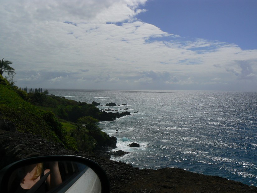 Hawaii_2008_Maui024